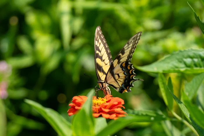 AR506869.webp