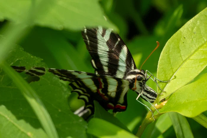 AR507086.webp