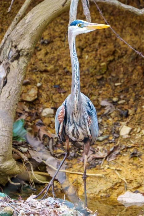AR507878.webp