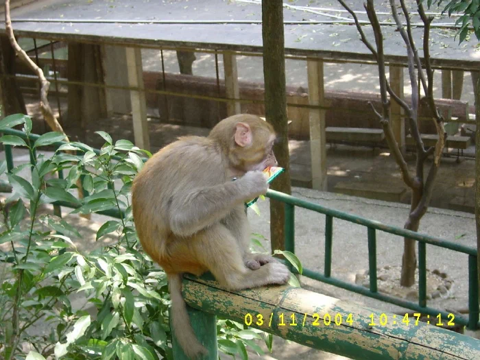 China2004 375.webp
