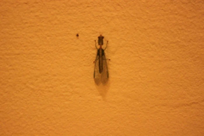 IMG_3881.webp