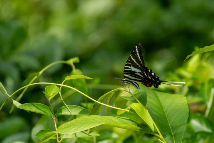 AR507068.jpg