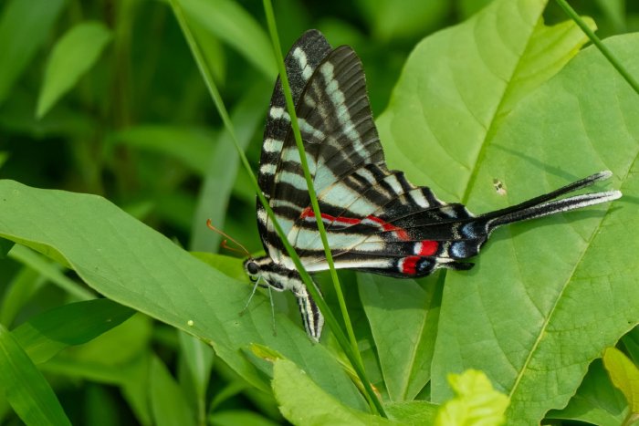 AR507083.jpg