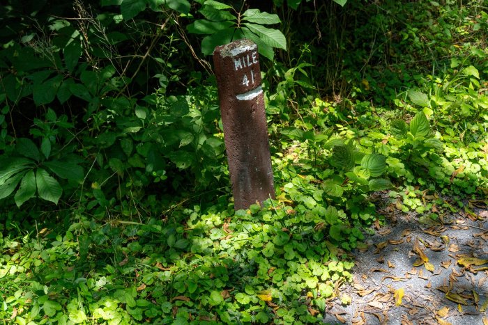 AR507265.jpg
